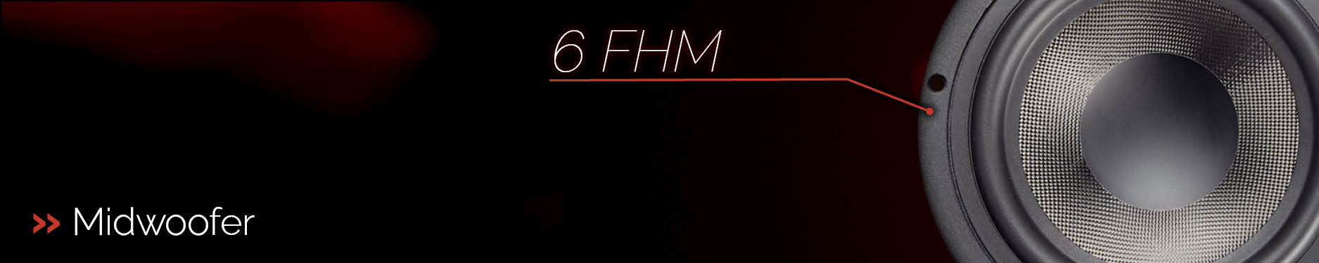 Midwoofer - 6FHM